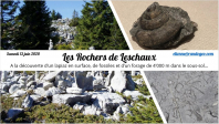 Les Rochers de Leschaux - Lapiaz et fossiles