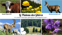 Le Plateau des Glières - Un univers à part