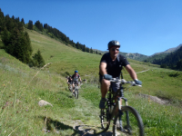 VTT - Alpe du Grand Serre-Vallée de la Roizonne