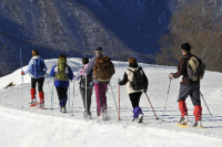 Balade raquettes à neige panoramique du Markstein