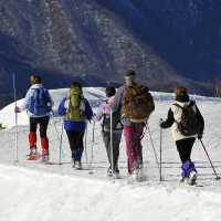 Journée raquettes à neige Feldberg en Forêt Noire