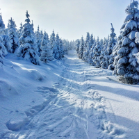 Splendide week-end à l'auberge le Steinlebach !