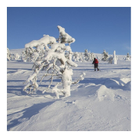 Journée en raquettes à neige au Tanet !