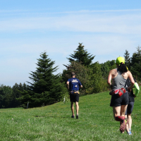 Trail, rando trail, coaching dans les Vosges