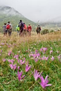 Vallée d'Ossau : randonnée à la journée