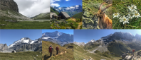 Mini-expé « Tour de l'Aiguille de la Vallaisonnay »  avec nuit  refuge au cœur du Parc de la Vanoise