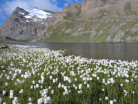 Séjour dans les Alpes Graies Piémont