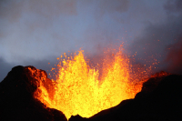 Les Pépites de la Réunion