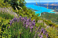 Sur les rives du Verdon