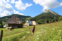 Les Bauges : quand alpage rime avec sauvage