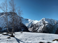 Thé ou café à l'igloo