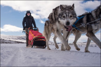 Multiactivités sous les aurores boréales