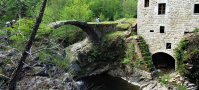 Randonnée Paysanne en Ardèche du Sud