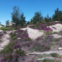 Escale entre Caroux et Espinouse