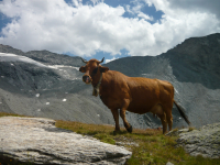 Tour de la Vanoise - Secteur Pralognan-Fonds d'Aussois