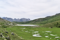 GR20 Nord de Calenzana à Conca