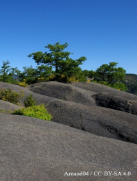 Géologie et écriture Écrire et randonner en voyageant dans le temps