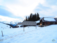 Au coeur du parc naturel du Diemtigtal