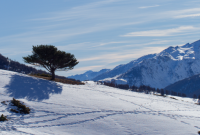 Raquette en Ubaye