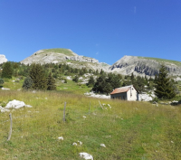 Rando-Yoga dans le Dévoluy.Bien être et randonnée