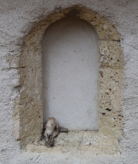 Montagne de Saint-Pancrace