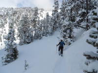 Pas à Pas vers l'Autonomie