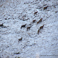 Mercredi : Petites histoires d'une vallée glacière