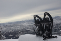 Boucle sauvage sur le Mont Ventoux
