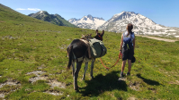 Randonner en montagne avec un âne Vers le glacier de l’Etendard