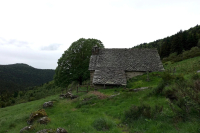 Volcan cantalien : l’intégrale
