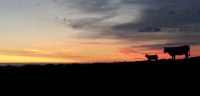 Coucher de soleil au Rocher de la Sagne